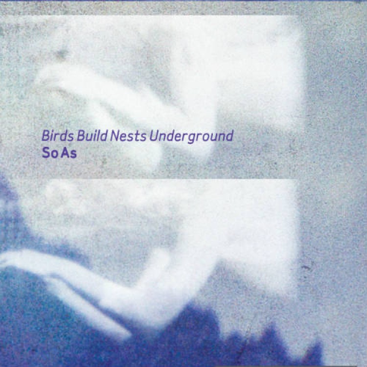 BIRDS BUILD NESTS UNDERGROUND - 'So As' Enhanced CD