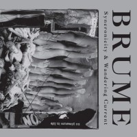 BRUME - 'Syncronicity & Wandering Current' CD