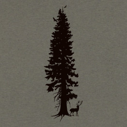 CEDAR SPIRITS - 'Cedar Spirits' CD