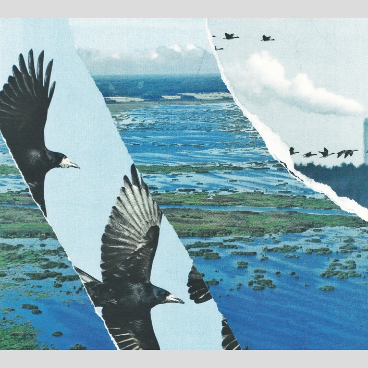 COMMANDO 15 - 'Salattu Suomi' CD