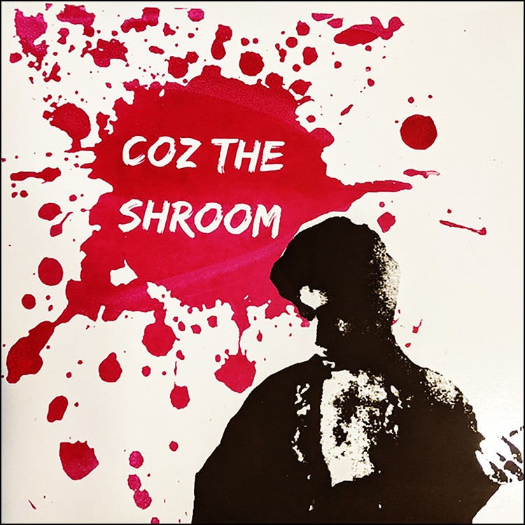 COZ THE SHROOM - 'Bum Henry Adams And Craig Stewart's Prince' LP