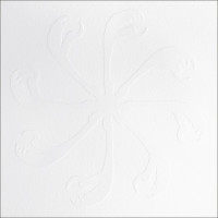 CYCLE OF THE RAVEN TALONS - 'A Medicinal Musical' 2 x CD CYCLE OF THE RAVEN TALONS - 'A Medicinal Musical' 2 x CD