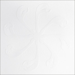 CYCLE OF THE RAVEN TALONS - 'A Medicinal Musical' 2 x CD