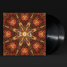 COIL - 'Stolen & Contaminated Songs' 2 x LP (CSR276LP)