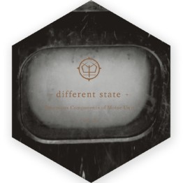 DIFFERENT STATE - 'Enormous Components Of Motor Unit Vol. 2' CD