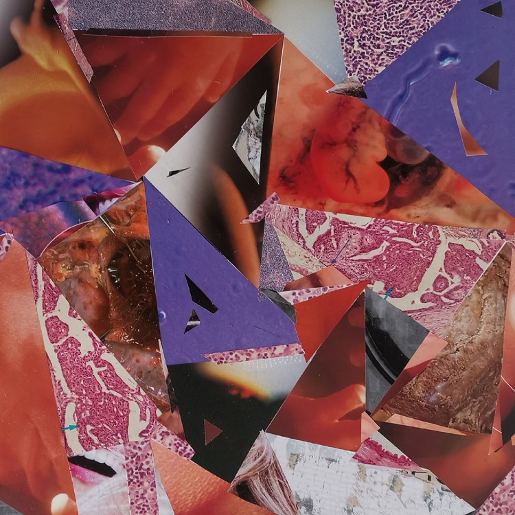 FALLEN SUN / SACHER-PELZ / THOMAS BEY WILLIAM BAILEY - 'Acousmatomisation' CD