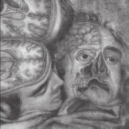 GENOCIDE ORGAN - 'Genocide Organ' 2 x LP GENOCIDE ORGAN - 'Genocide Organ' 2 x LP