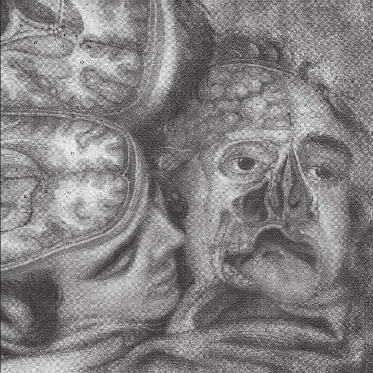 GENOCIDE ORGAN - 'Genocide Organ' 2 x LP GENOCIDE ORGAN - 'Genocide Organ' 2 x LP