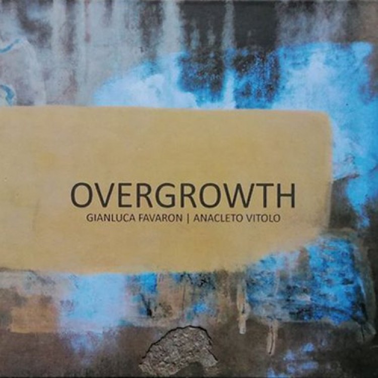 GIANLUCA FAVARON & ANACLETO VITOLO - 'Overgrowth' CD