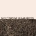 GIGI MASIN & GIUSEPPE CAPRIOLI - 'Moltitudine In Labirinto' LP BLACK