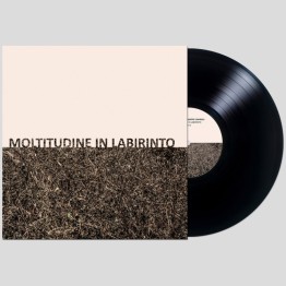 GIGI MASIN & GIUSEPPE CAPRIOLI - 'Moltitudine In Labirinto' LP BLACK