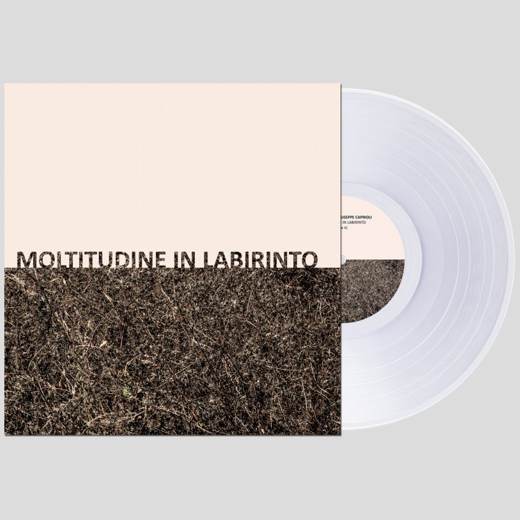 GIGI MASIN & GIUSEPPE CAPRIOLI - 'Moltitudine In Labirinto' LP CLEAR