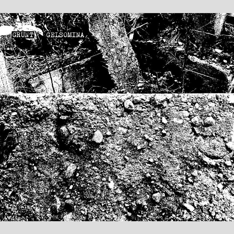 GRUNT / GELSOMINA - 'Grunt / Gelsomina' 2 x CD