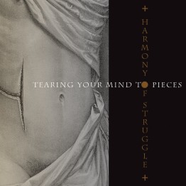 HARMONY OF STRUGGLE - 'Tearing Your Mind To Pieces' CD