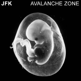 JFK - 'Avalanche Zone' CD
