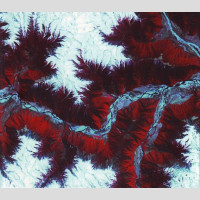 MAEROR TRI - 'Multiple Personality Disorder' CD