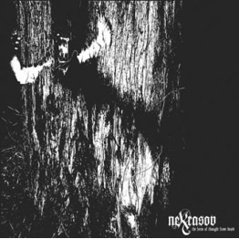 NEKRASOV - 'The Form Of Thought From Beast' LP