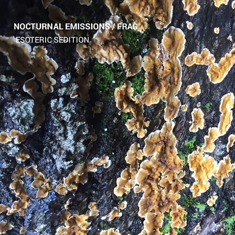 NOCTURNAL EMISSIONS / FRAG (TUNNELS OF AH) - 'Esoteric Sedition' CD