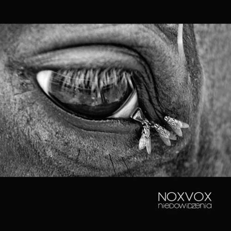 NOXVOX - 'Niedowidzenia' CD