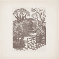 ORA - 'Time Out Of Mind' CD