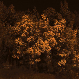 O[RLAWREN] - 'Poesis' CD