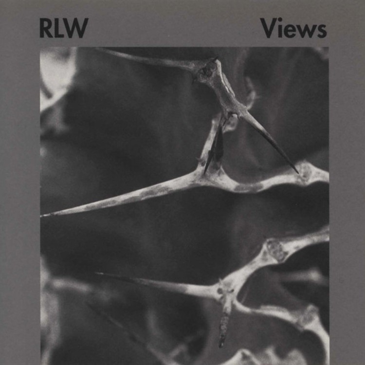 RALF WEHOWSKY - 'Views' CD