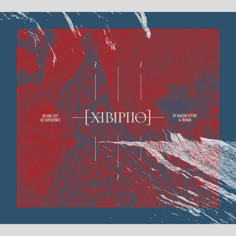 RAISON D'ETRE & TROUM - 'XIBIPIIO - In And Out Of Experience' CD RAISON D'ETRE & TROUM - 'XIBIPIIO - In And Out Of Experience' CD