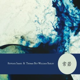 REVERSE IMAGE & THOMAS BEY WILLIAM BAILEY - 'Tokokawa' CD