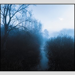 RICHARD B. LEWIS - 'The Blue Horizon' CD