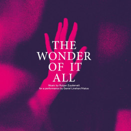 RUTGER ZUYDERVELT - 'The Wonder Of It All' CD RUTGER ZUYDERVELT - 'The Wonder Of It All' CD