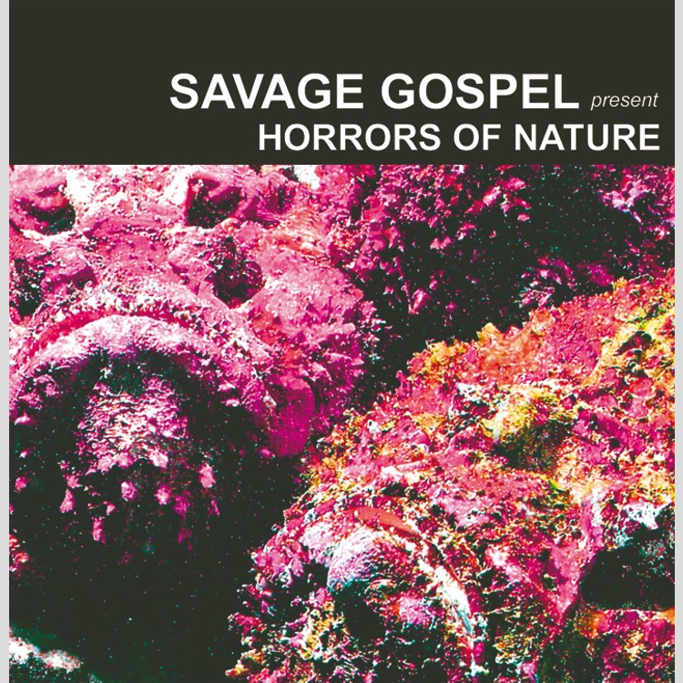 SAVAGE GOSPEL - 'Horrors Of Nature' CD