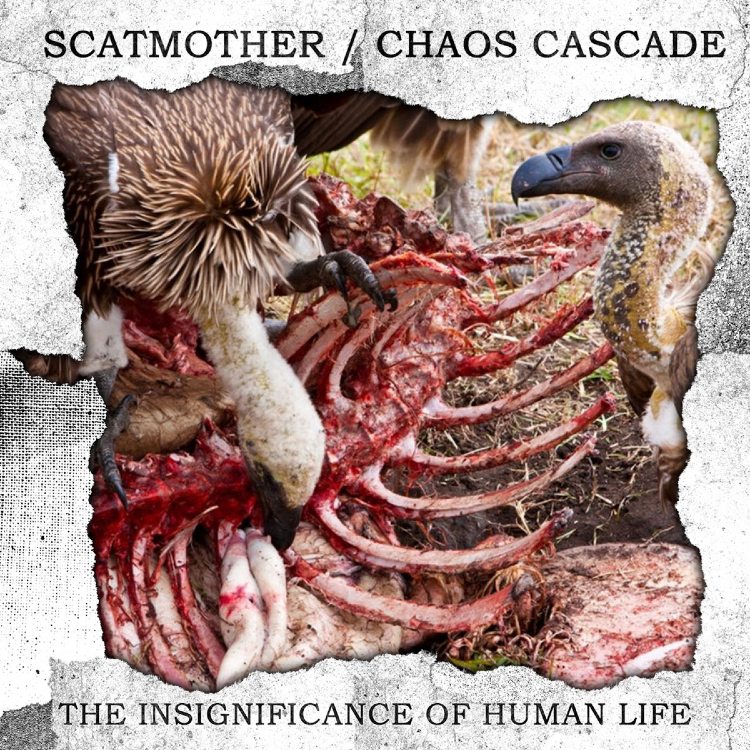SCATMOTHER / CHAOS CASCADE - 'The Insignificance Of Human Life' CD
