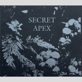 SECRET APEX - 'Secret Apex' CD