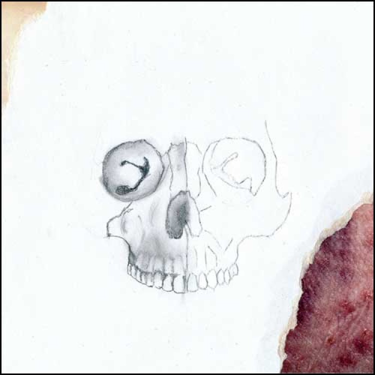 SKIN AREA / JARL - 'La Petite Mort' LP
