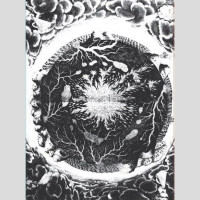 SUTEKH HEXEN - 'Luciform' CD SUTEKH HEXEN - 'Luciform' CD