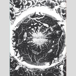 SUTEKH HEXEN - 'Luciform' CD