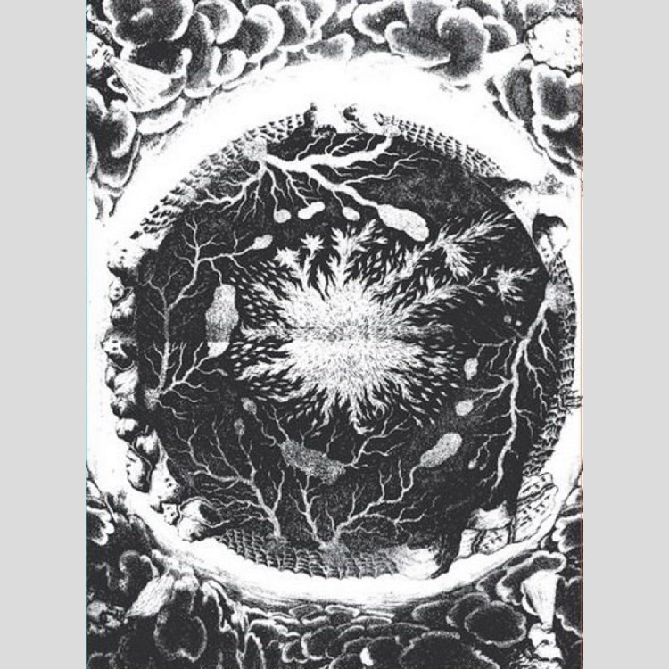 SUTEKH HEXEN - 'Luciform' CD