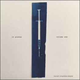 TAUMEL - 'In Pieces Volume One' 10"