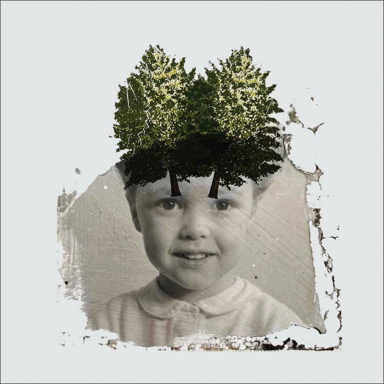 THE STARGAZER'S ASSISTANT - 'Modular Fields' CD