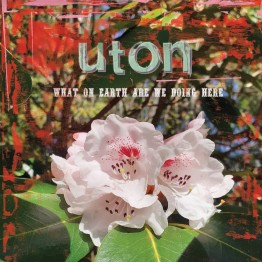 UTON - 'What On Earth Are We Doing Here' CD