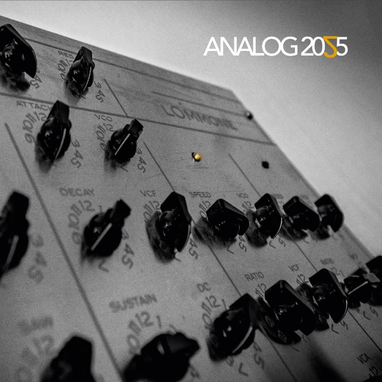 VA - 'Analog 2025' CD
