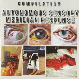 VA - 'Autonomous Sensory Meridian Response' CD
