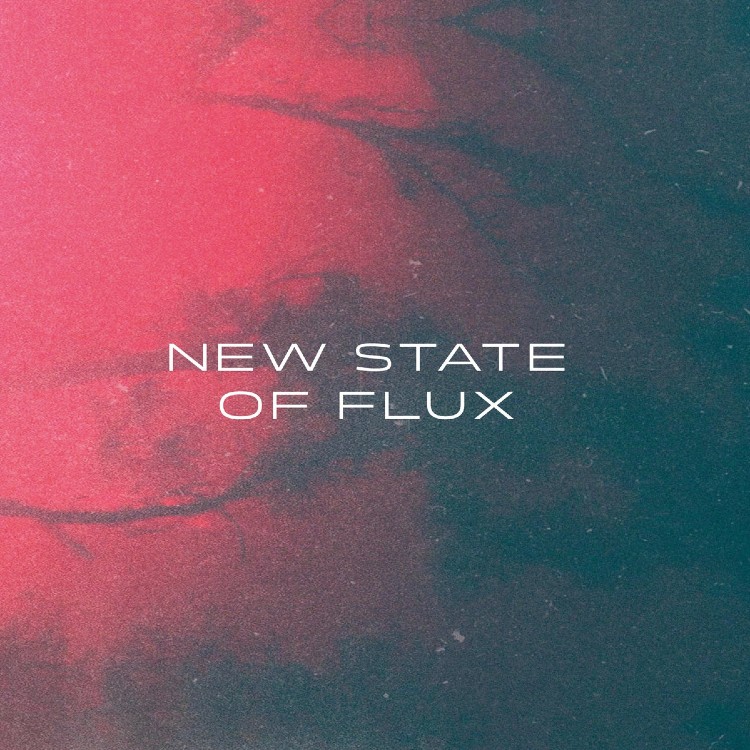 VA - 'New State Of Flux' 2 x CD